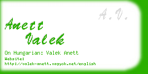 anett valek business card